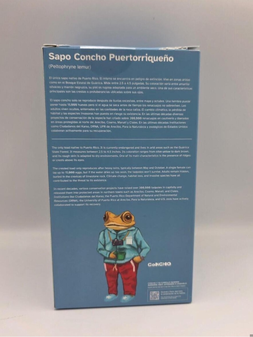 Bad Bunny [CAFETERO] open but New ConCho by DTMF 🐸 - Picture 4 of 5